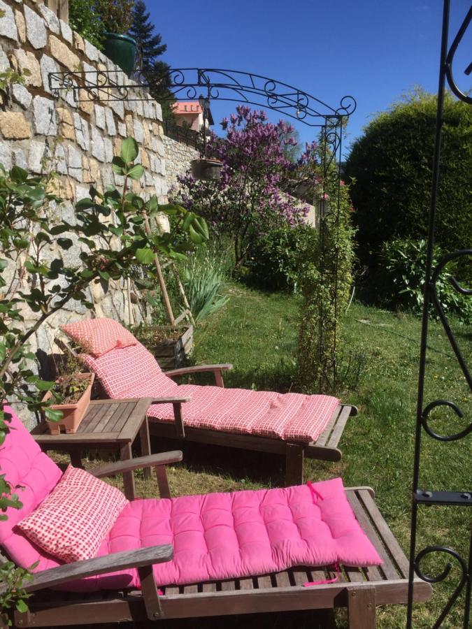 Rez De Jardin De Chalet Bois , Calme Et Verdure ! Saint-Martin-Vésubie Exteriör bild